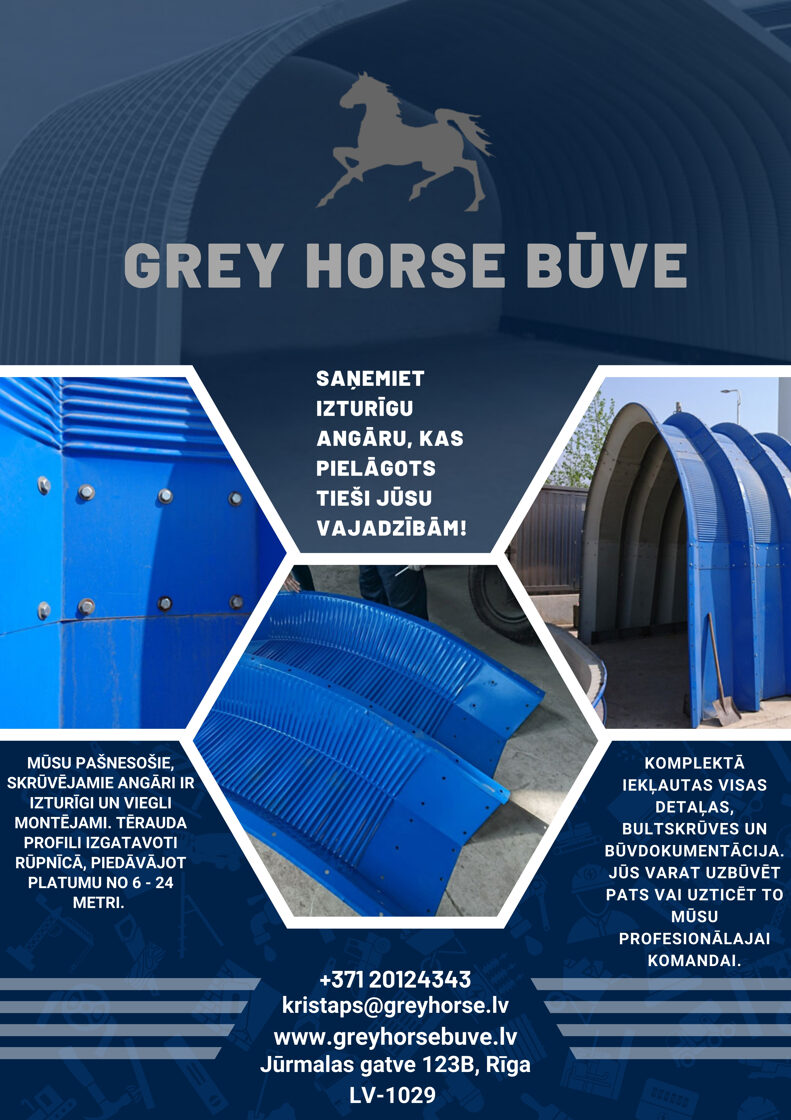 Grey_horse_buve_1_.jpg